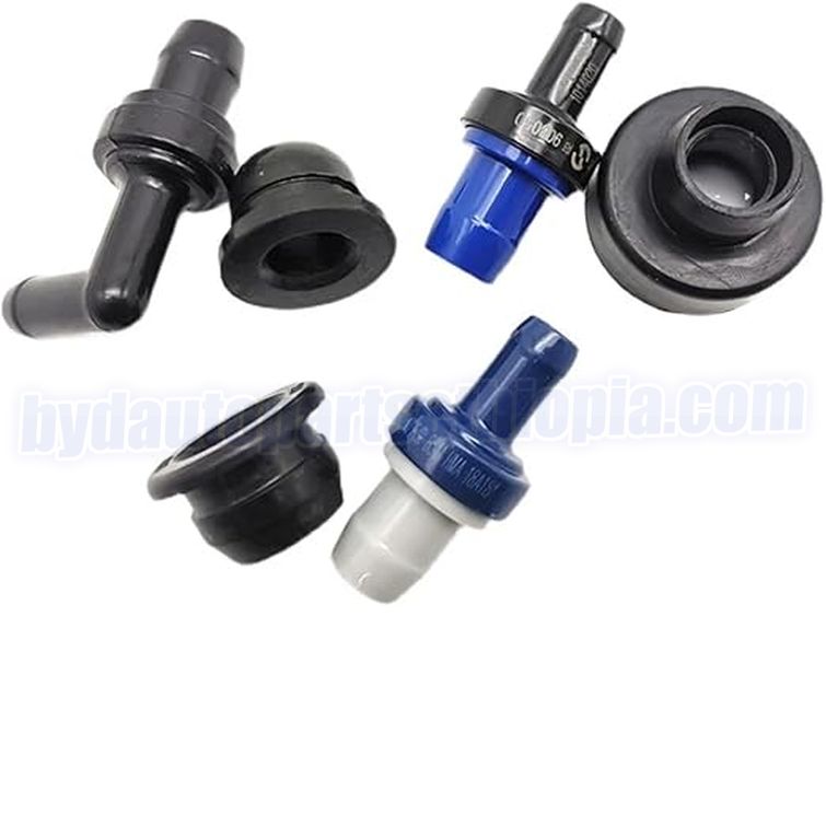 Byd ክፍሎች ካታሎግ ሞተር ቼክ ቫልቭ